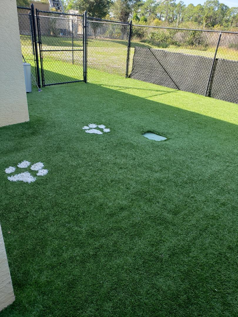 Kennel Yard Kennel Yard