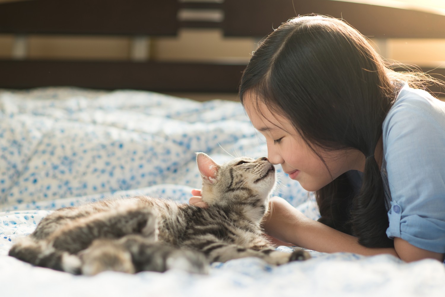 Cat and Girl Nose to Nose